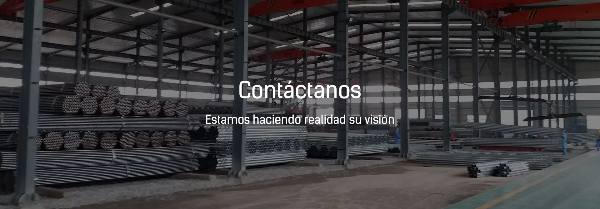 Contactar ZOLO